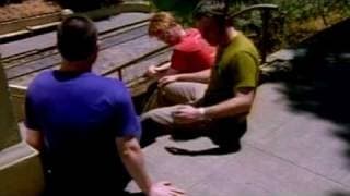 She Will Only Bring You Happiness