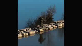 Yebba - Delicate Roots (Audio)