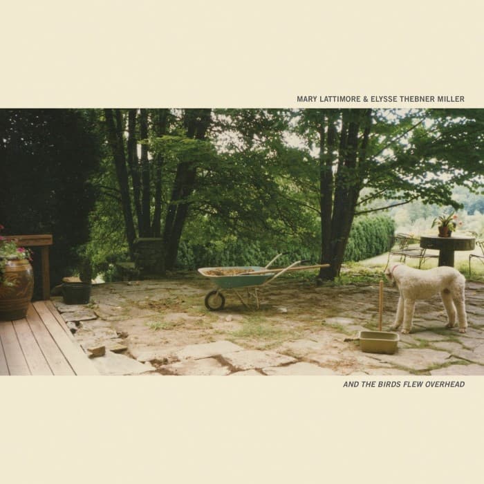 And the Birds Flew Overhead