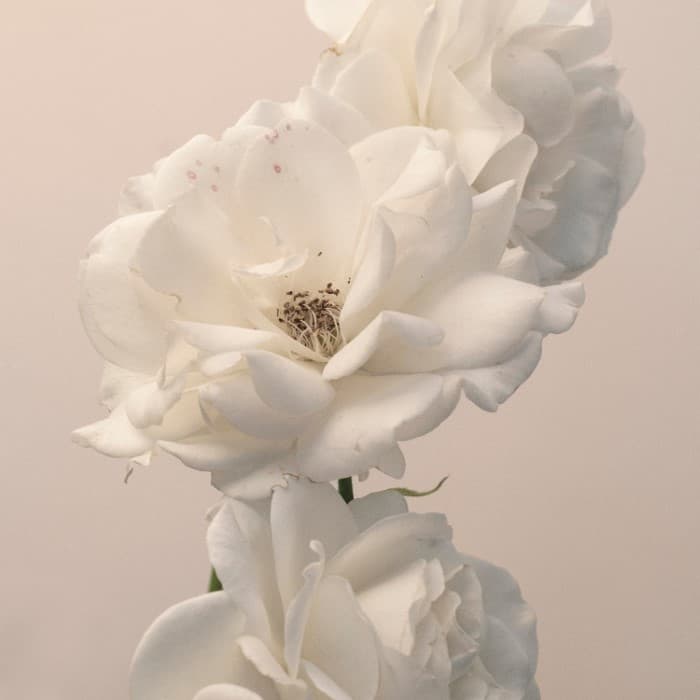 Turn the Light On: Acoustic Reimagination